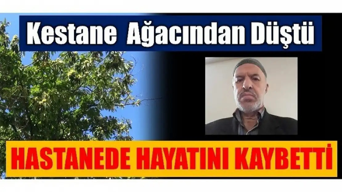 KESTANE FACİASI! YAŞLI ADAM HAYATINI KAYBETTİ