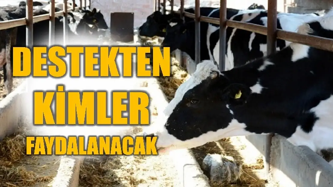 Kırsalda Bereket Hayvancılığa Destek Projesi sonuçları açıklandı