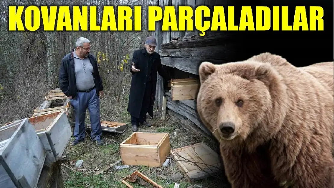 Kovanları paramparça ettiler