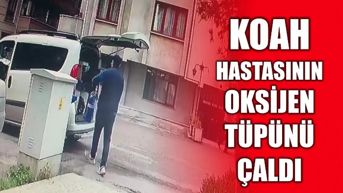 Vicdansızlığın bu kadarı