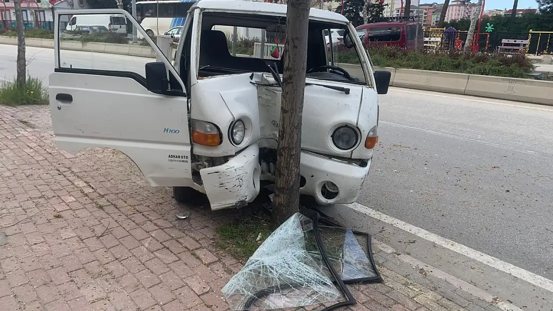 Kontrolden çıkan kamyonet ağaca çarparak durabildi