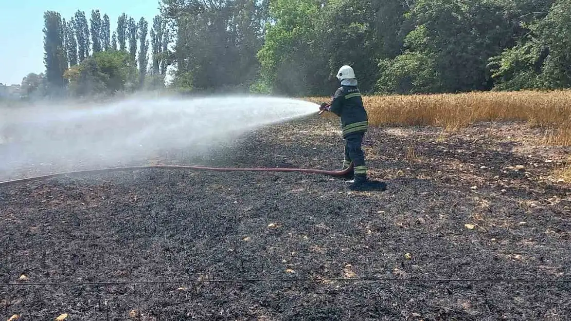 Kopan elektrik kablosu 1 buçuk dönüm buğday tarlasını küle çevirdi