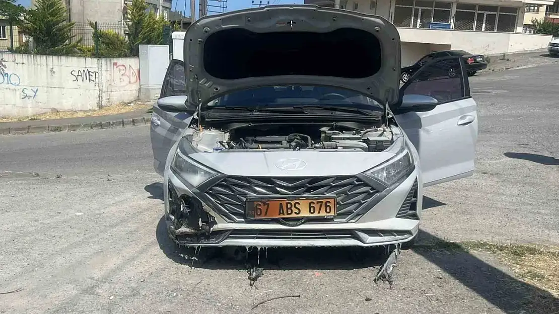 Kopan elektrik telleri otları, otlarda aracı yaktı