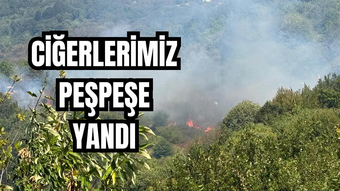Korkulu anlar
