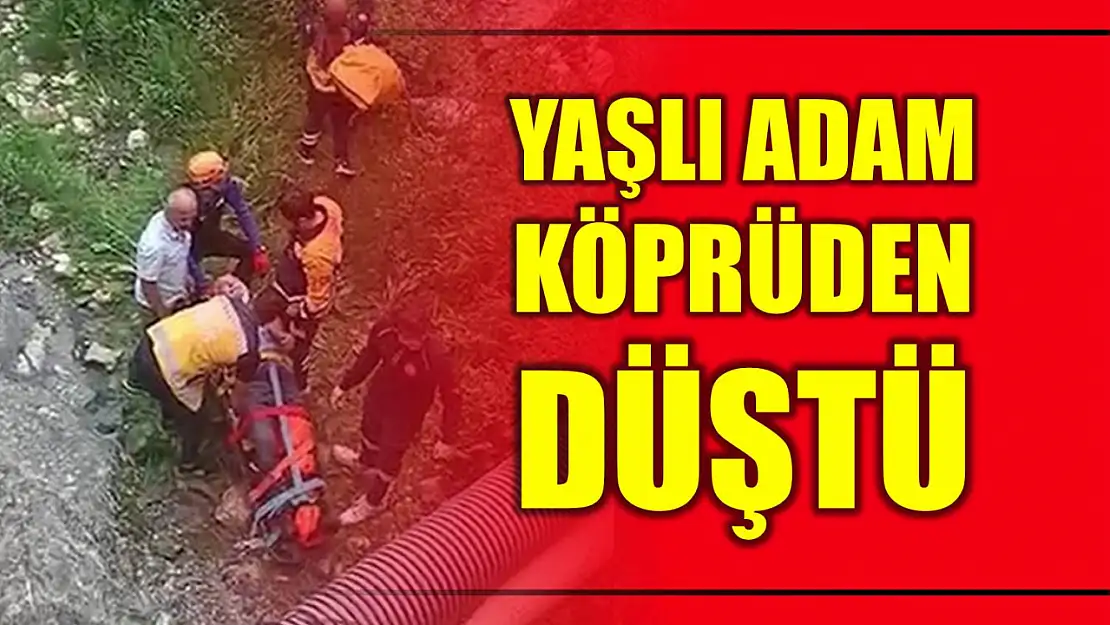 Korkuluklar kırıldı köprüden düştü