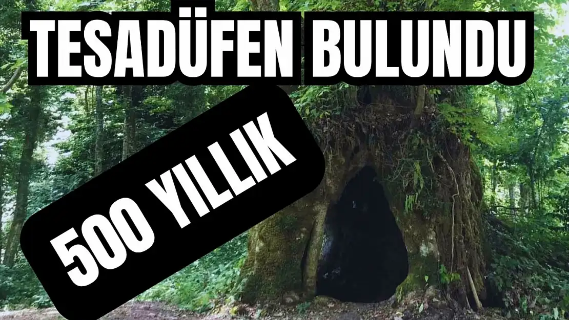 Koruma altına alınıyor