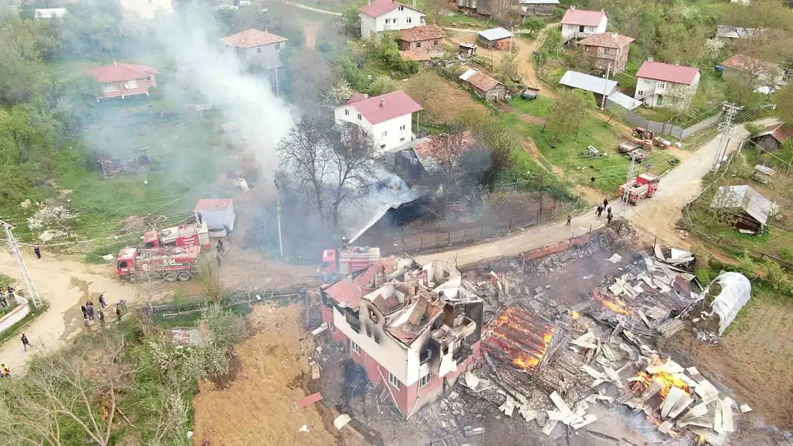 Köyde çıkan yangında çok sayıda yapı küle döndü, 4 hayvan telef oldu