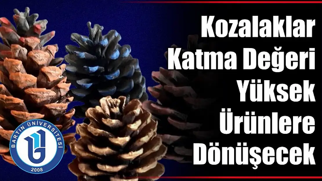 Kozalaklar katma değeri yüksek ürünlere dönüşecek