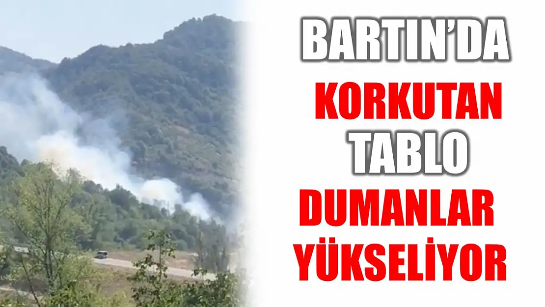 Kozcağız'da Mezarlık Karşısında Yangın Paniği