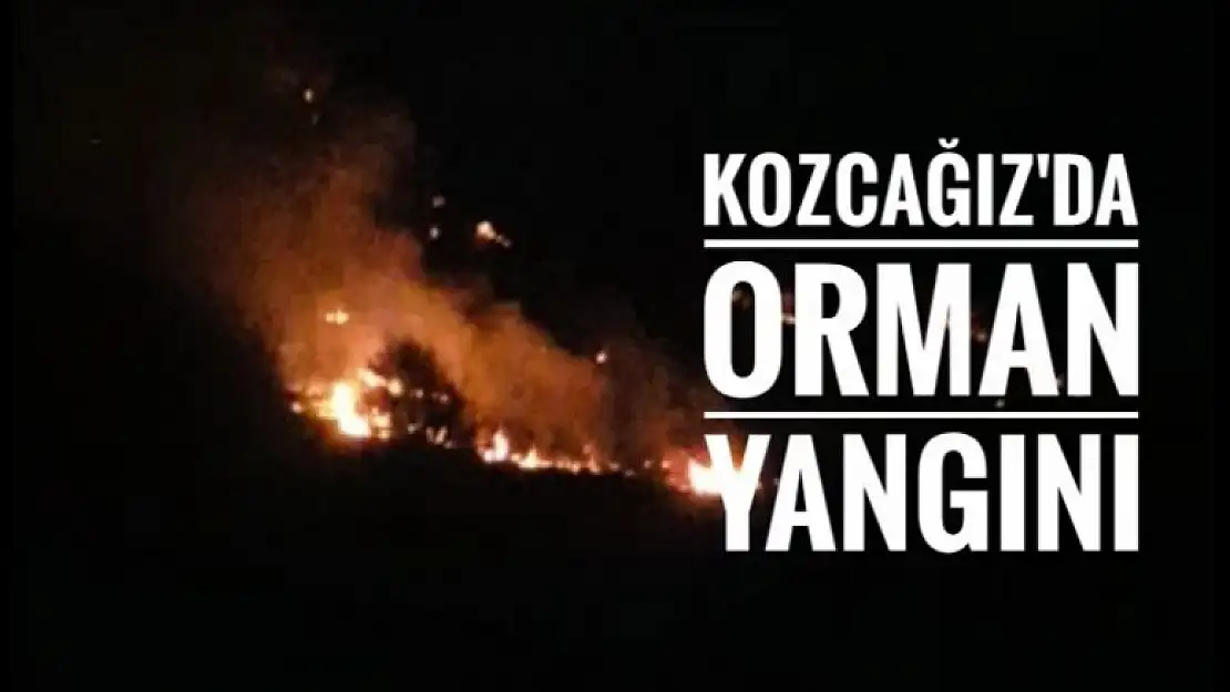 KOZCAĞIZ'DA ORMAN YANGINI 