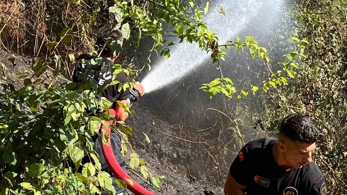 Kozlu'da anız yangını büyümeden söndürüldü