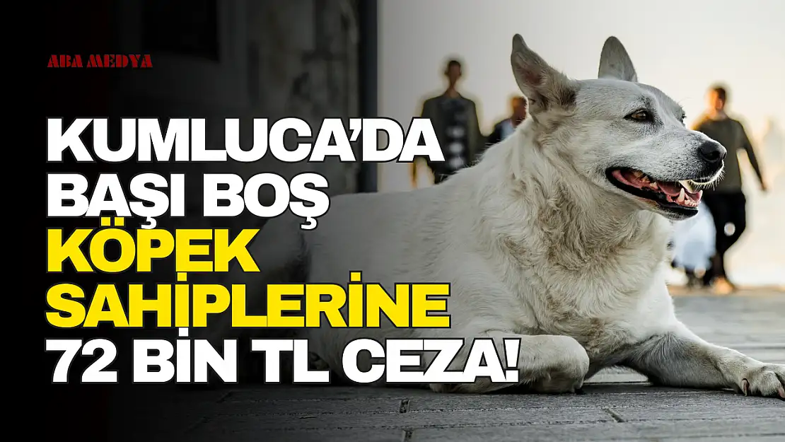 Kumluca'da Başı Boş Köpeklere Ceza Geliyor