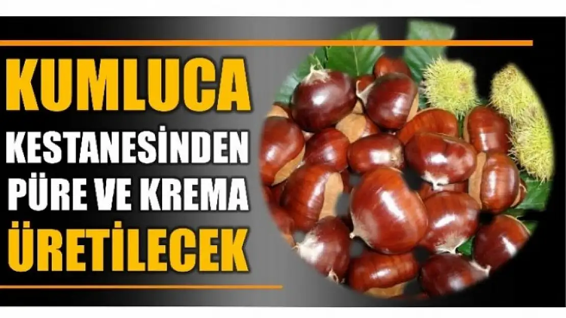 Kumluca kestanesinden püre ve krema üretilecek...