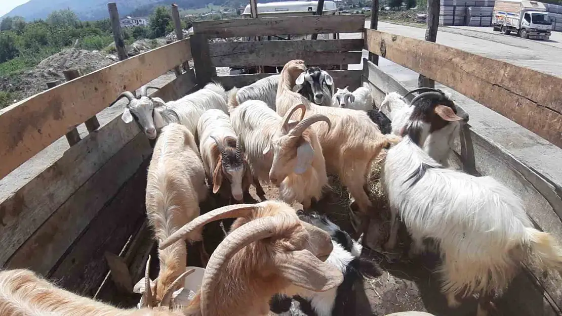 Kurban pazarında son yılların en durgun günleri yaşanıyor