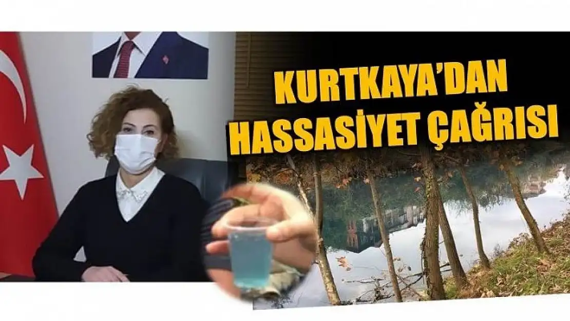 KURTKAYA'DAN IRMAK KİRLİLİĞİ AÇIKLAMASI