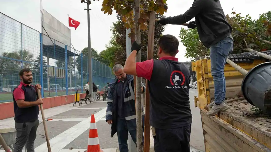 Kuruyan ağaçlar yenilendi