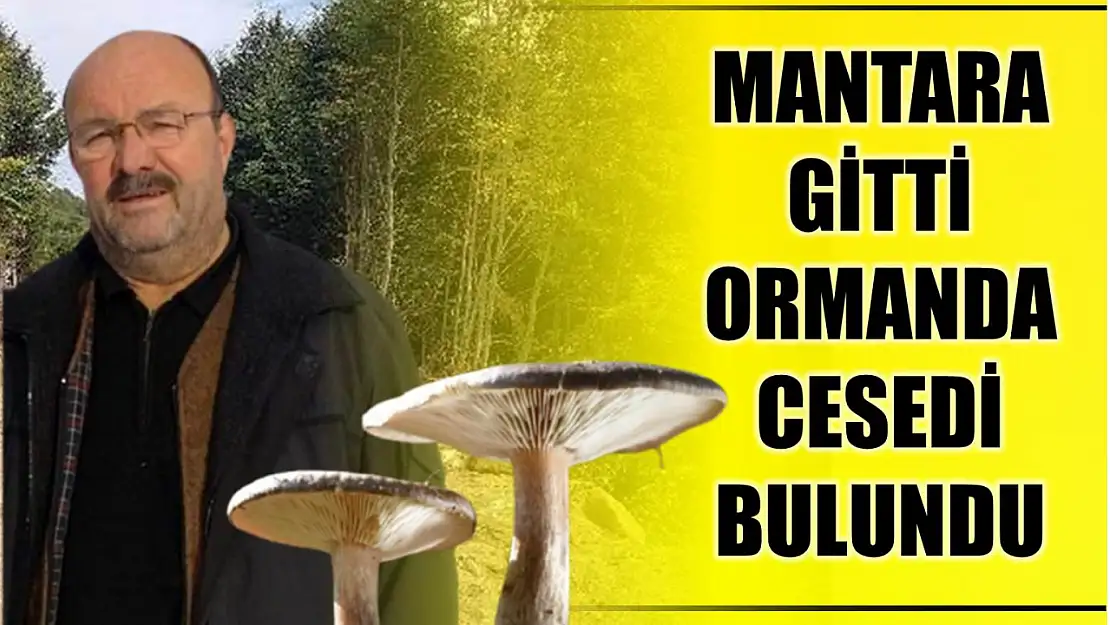 Ormanda cesedi bulundu