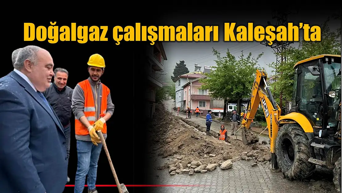 Milletvekili Aldatmaz çalışmaları inceledi