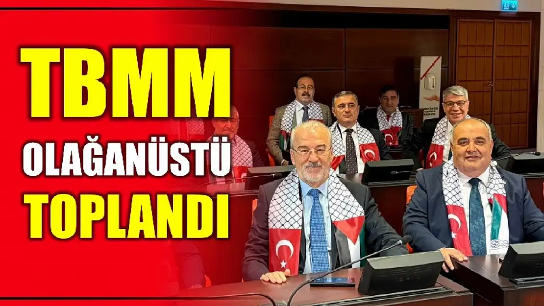 Milletvekili Aldatmaz TBMM'de
