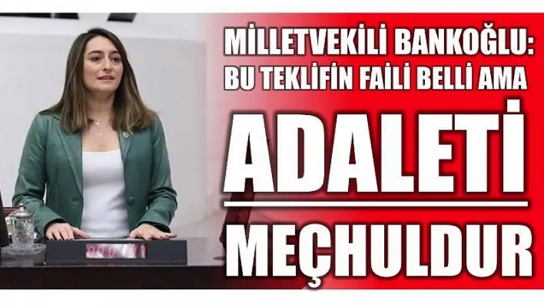 MİLLETVEKİLİ BANKOĞLU AVUKATLIK KANUNU HAKKINDA KONUŞTU