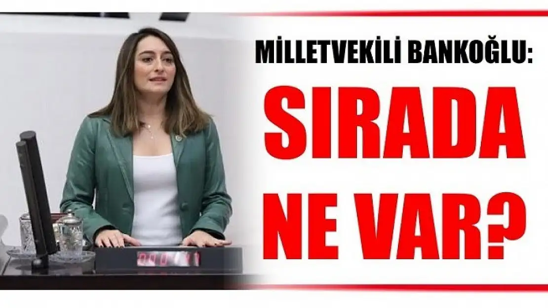 MİLLETVEKİLİ BANKOĞLU: SIRADA NE VAR?