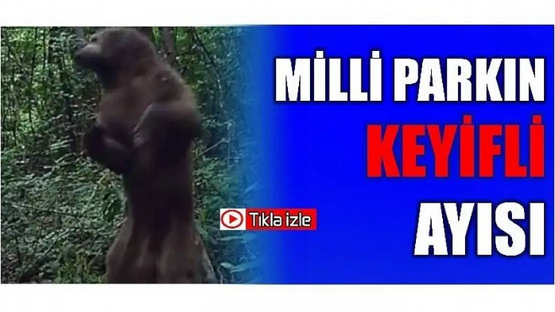 MİLLİ PARKIN KEYİFLİ AYISI