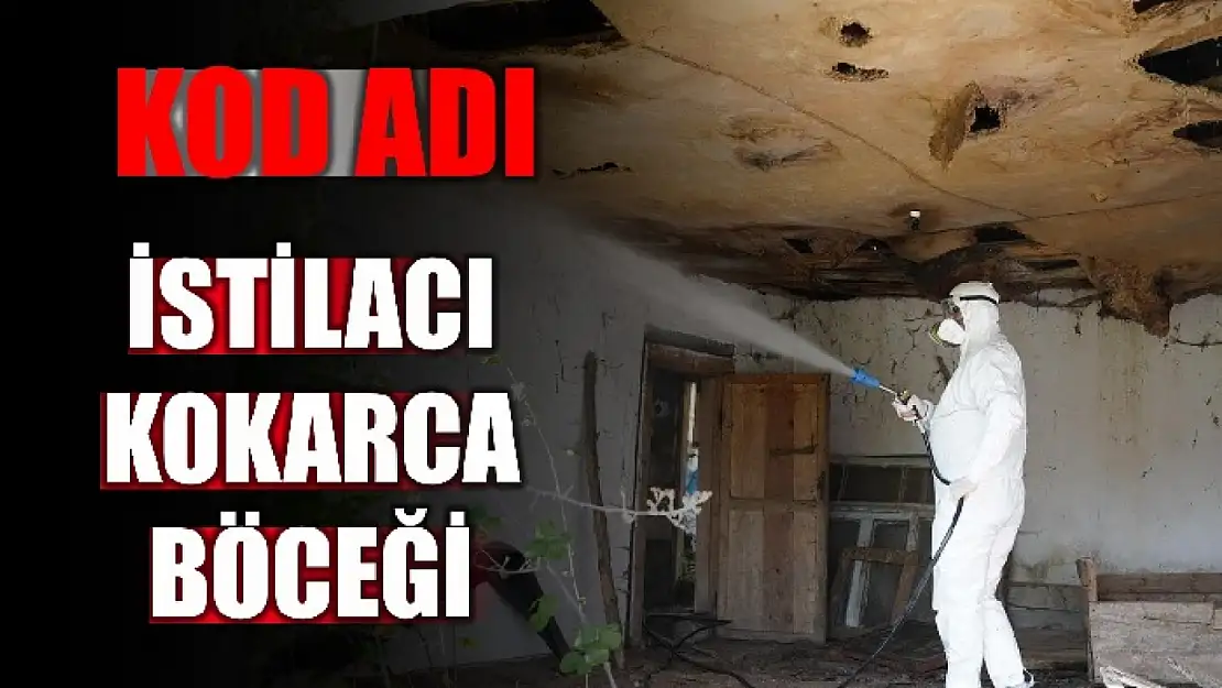 Mücadele devam ediyor