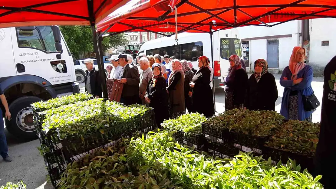 Mudurnu'da 108 bin fide dağıtıldı, çiftçiler akın etti
