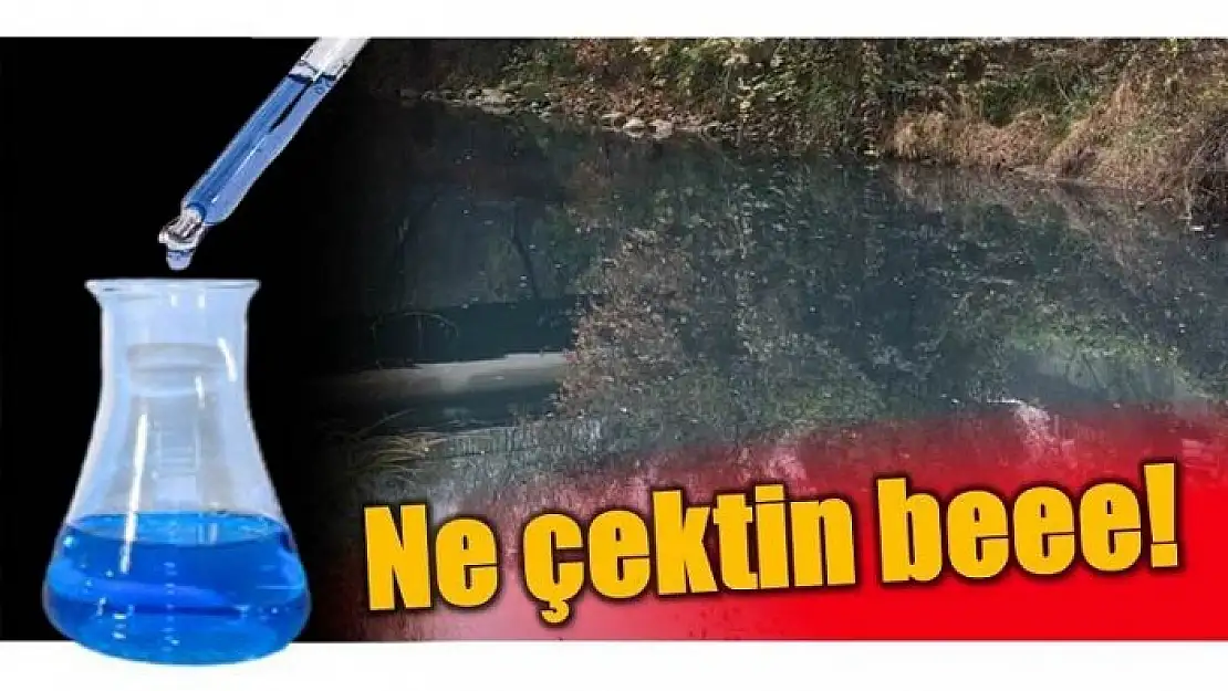 İHALE SONUÇLANDI SUÇ YİNE BARTIN IRMAĞINA KALDI!