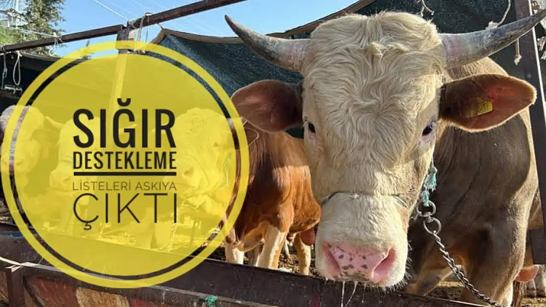 O tarihlere dikkat