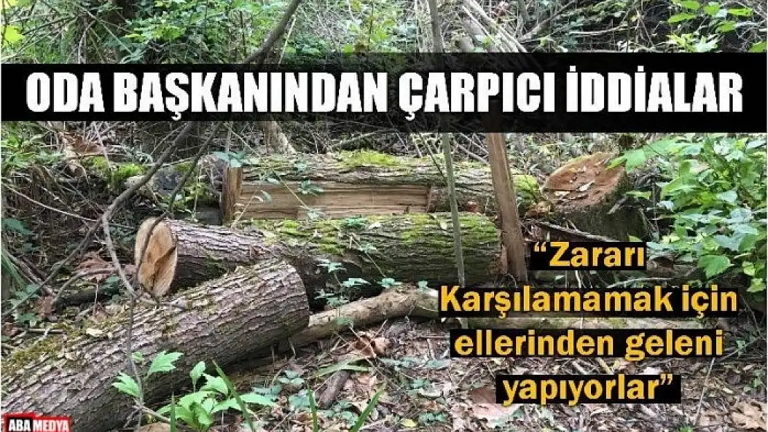 ODA BAŞKANINDAN İZİNSİZ KESİM İDDİASI!