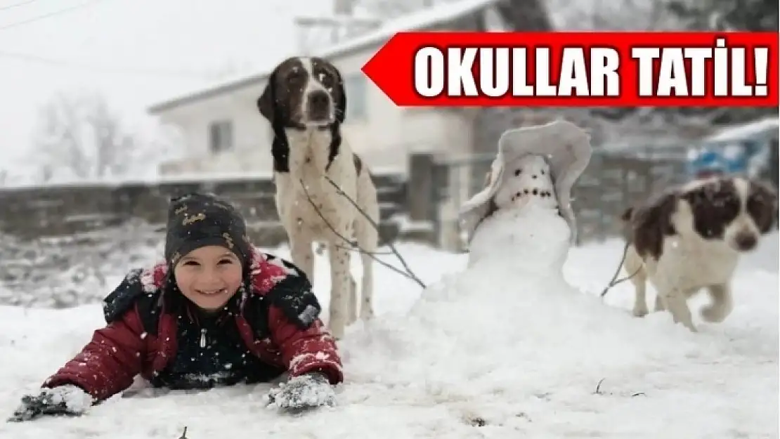 Okullar tatil edildi