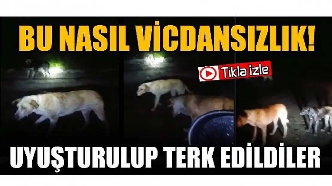 ÖNCE UYUŞTURDULAR SONRA!!!