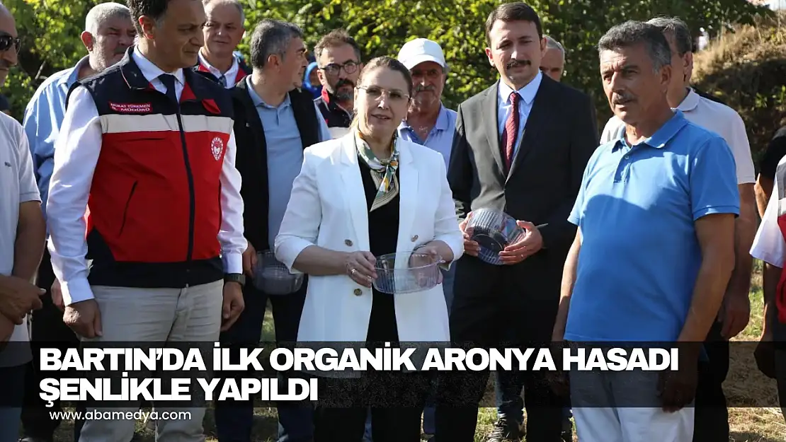Organik Aronya Hasadı Şenlikle Yapıldı