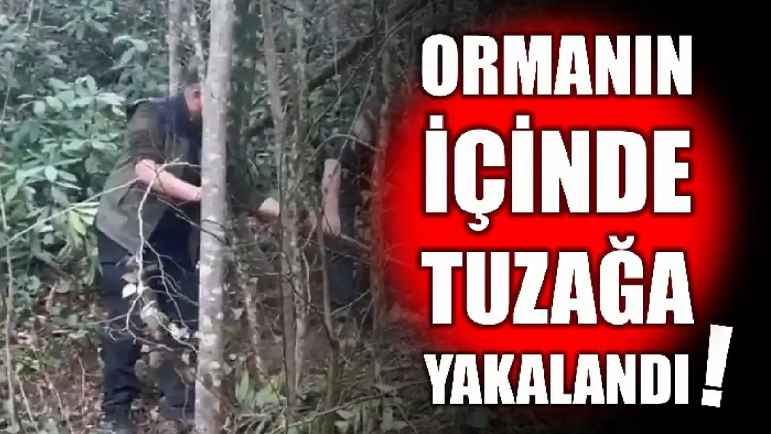 Orman muhafaza memurları kurtardı