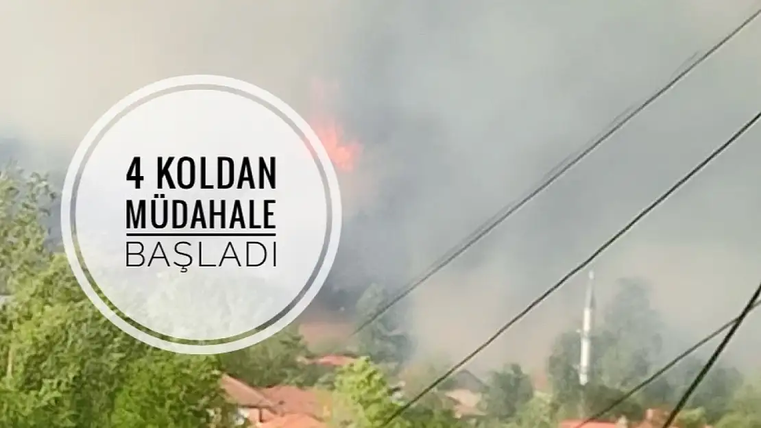 Orman yangını