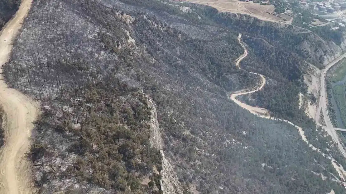 Orman yangınında zarar gören alanlar dronla görüntülendi