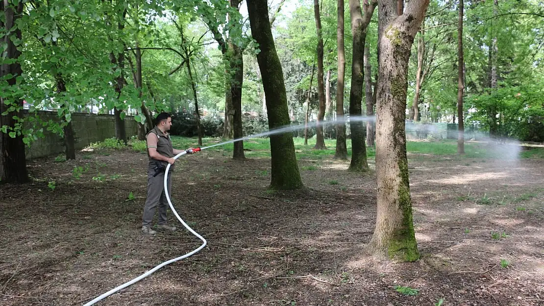 Orman yangınlarına ilk müdahale eğitimi