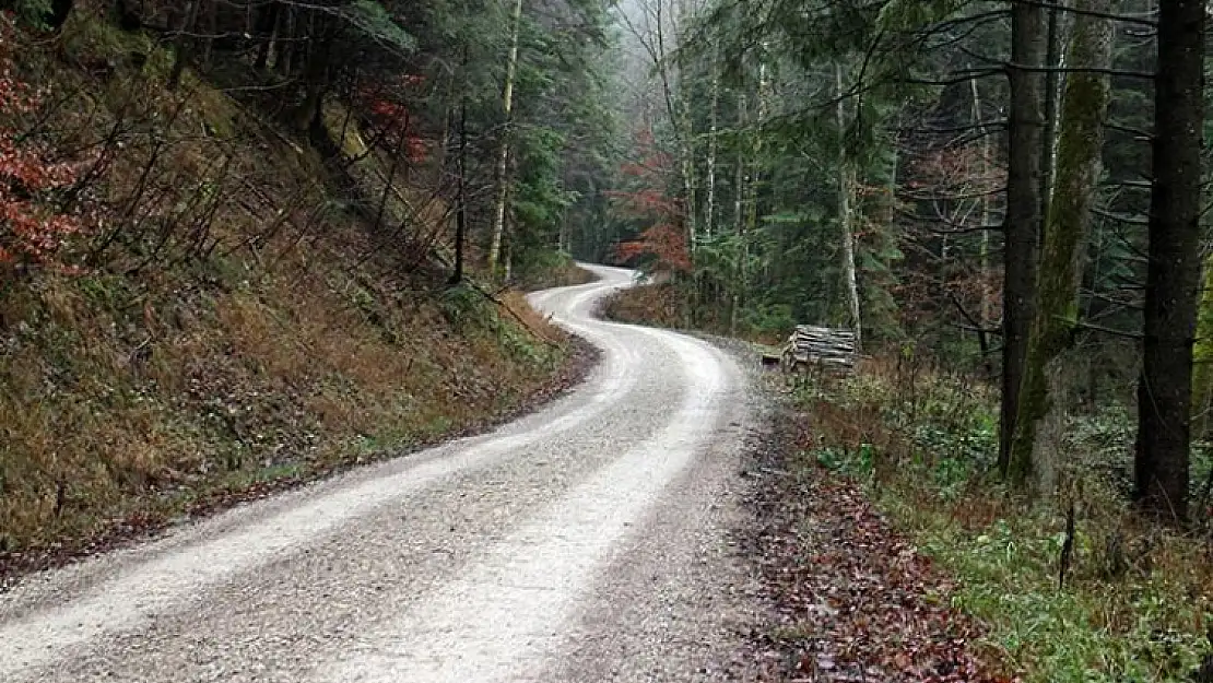 Orman yolu yaptırılacak