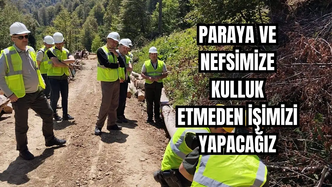 Ormancılık çalışmaları incelendi