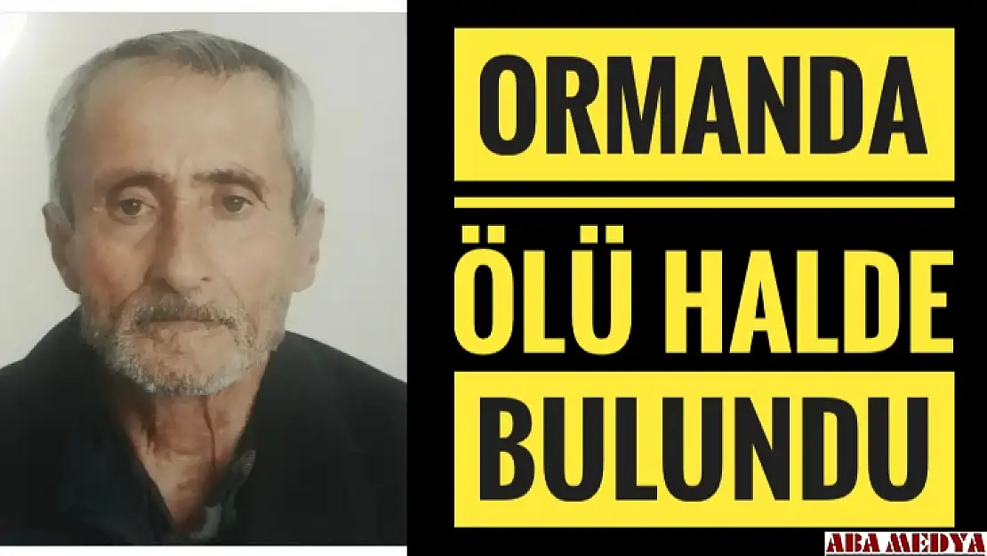 Ormanda ölü bulundu