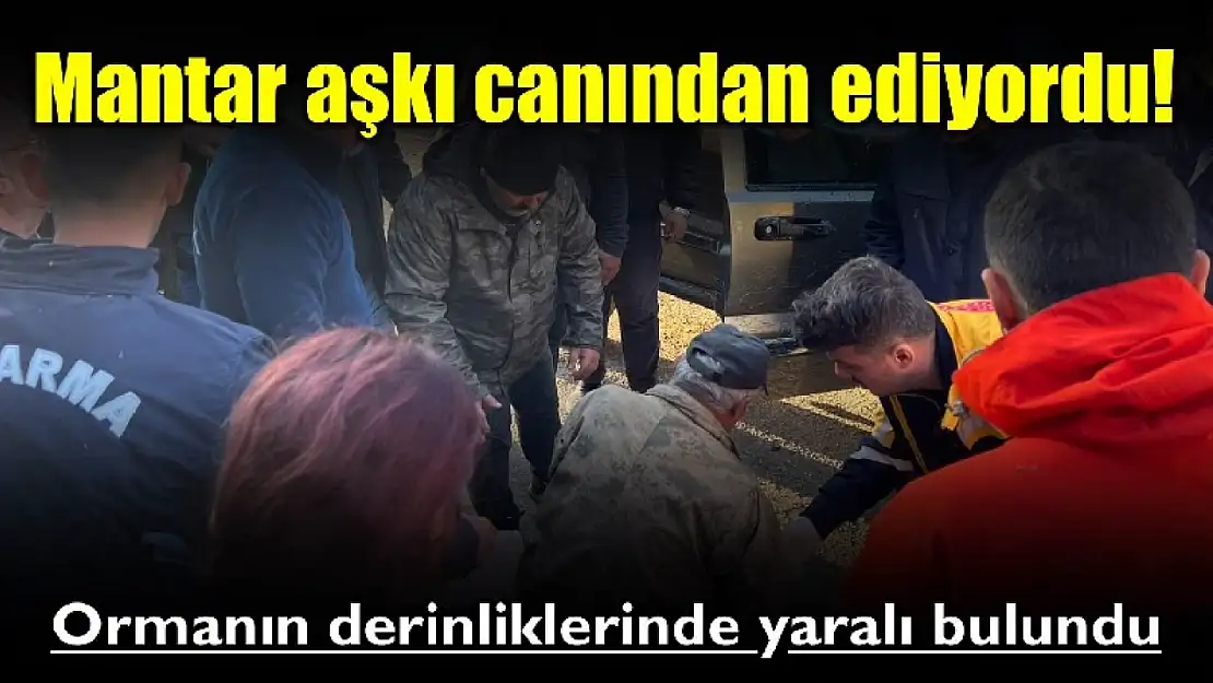 Ormanda yaralı halde bulundu