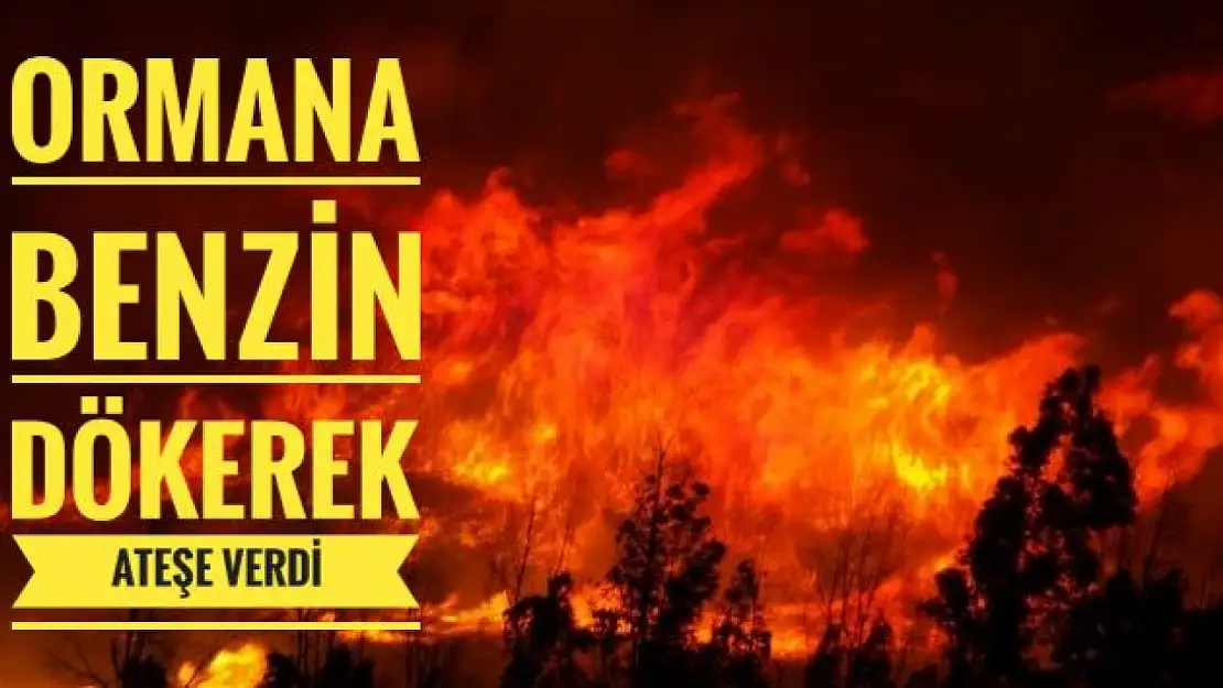 Ormanı ateşe veren bir kişi gözaltına alındı