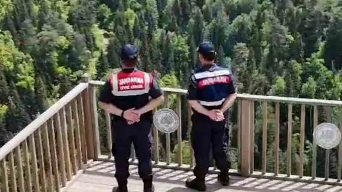Ormanlar jandarma ve komandoların koruması altında