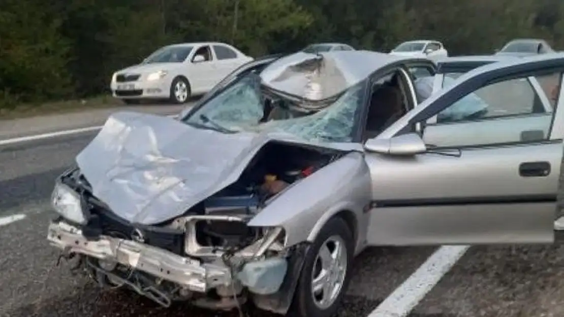 Otomobil kara yoluna çıkan büyükbaş hayvana çarptı 4 yaralı