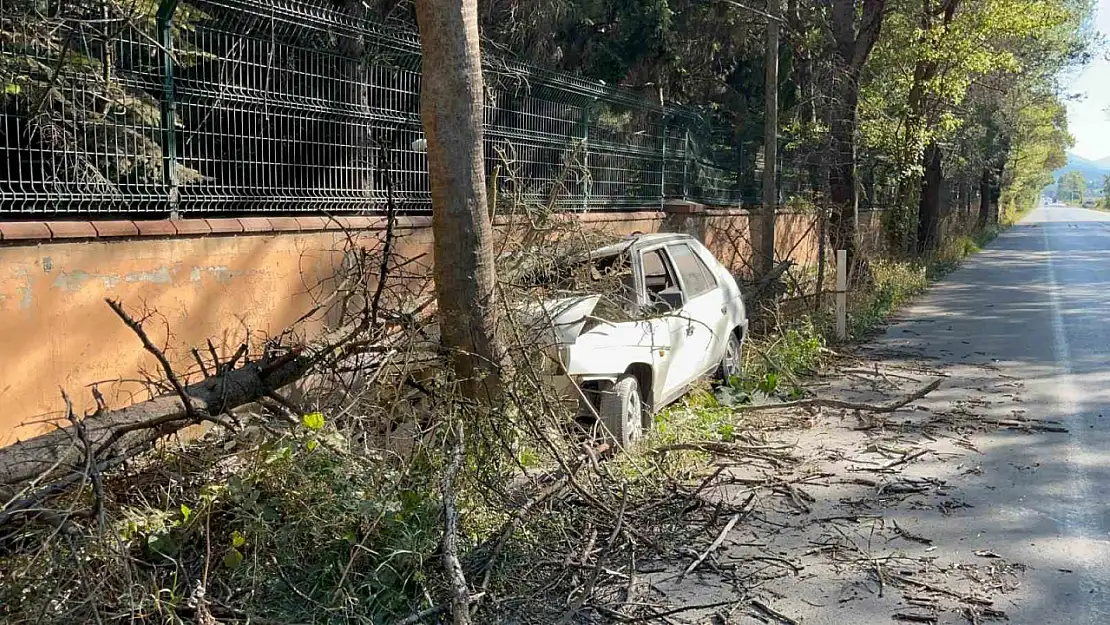 Otomobilin çarptığı ağaç üzerine devrildi