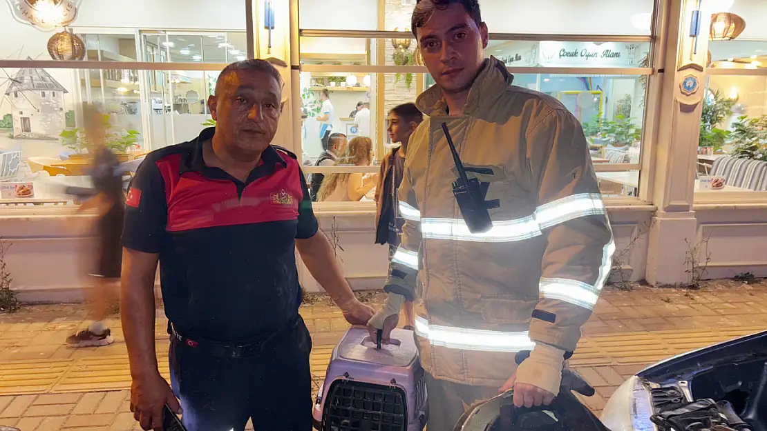 Otomobilin motoruna sıkışan yavru kedi kurtarıldı