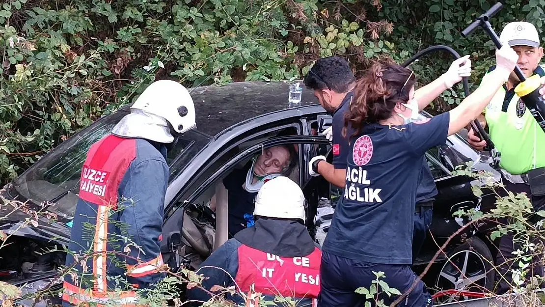 Yoldan çıktı ağaçlık alana girdi