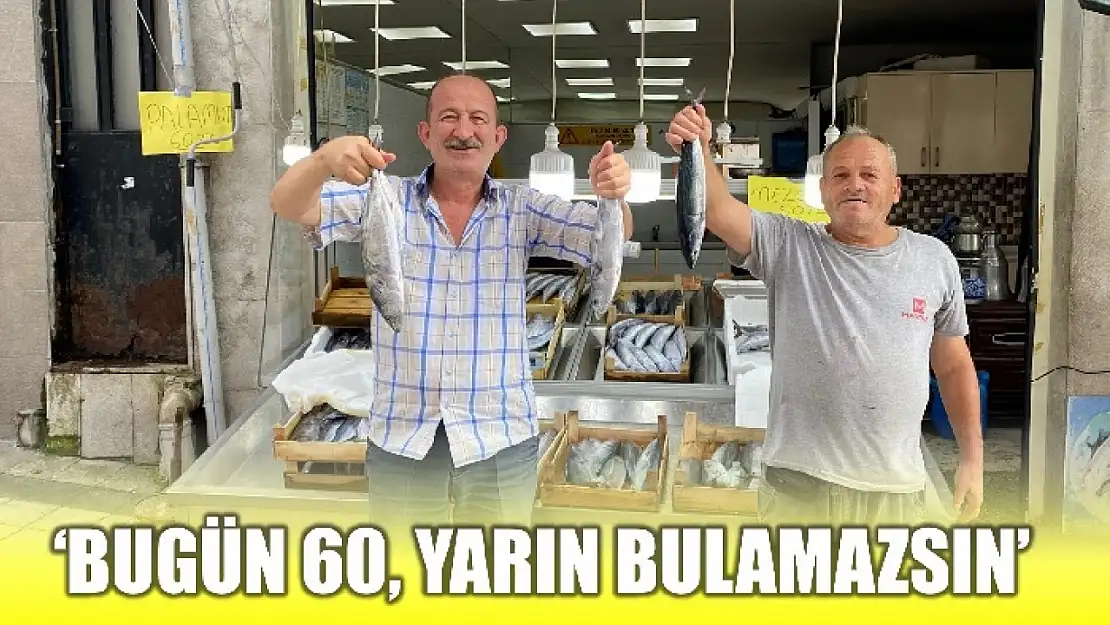 Palamut yüz güldürüyor