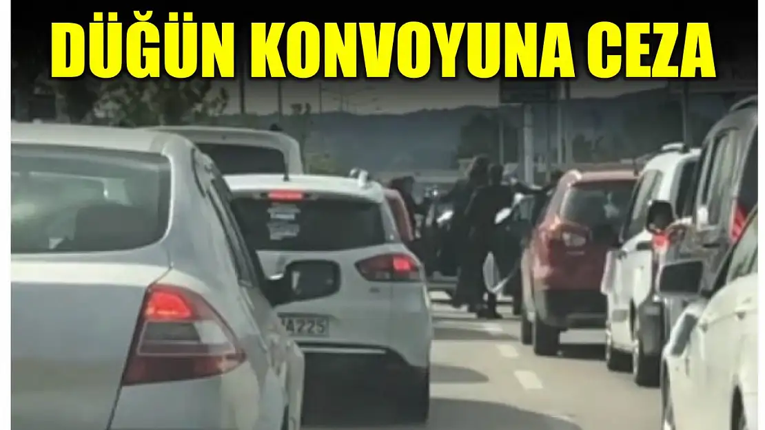 Plakaları tek tek tespit edildi